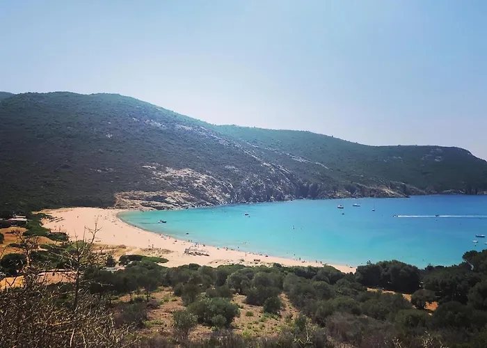 Elegant 2-bedroom Terrace In The Heart Of The Apartment Ajaccio (Corsica)