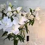 Elegant 2-bedroom Terrace In The Heart Of The