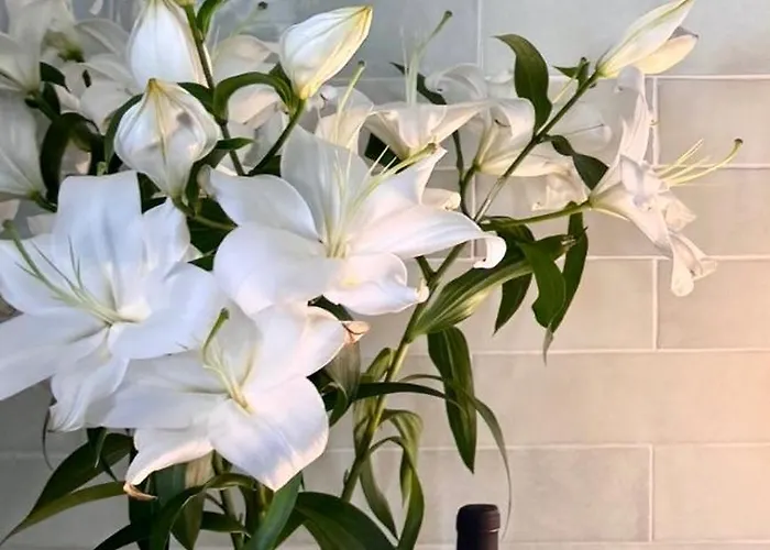 Elegant 2-bedroom Terrace In The Heart Of The